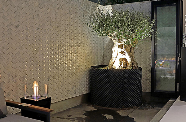 オリーブの古木 リーベン株式会社